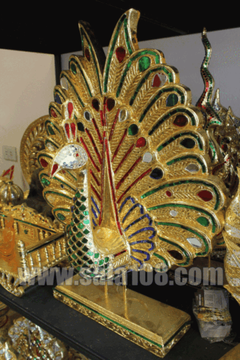 นกยูงลำแพนขนาดกลาง